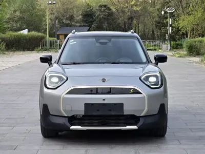 MINI MINI ACEMAN EV