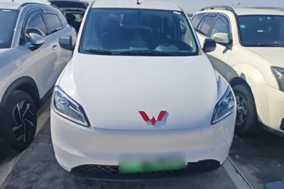 Wuling Hongguang New Energy