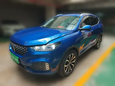WEY VV6
