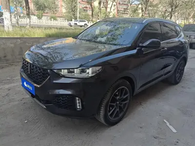 WEY Wey VV6