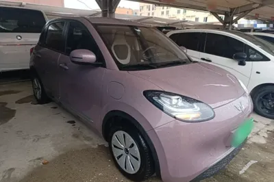 Wuling Bingo