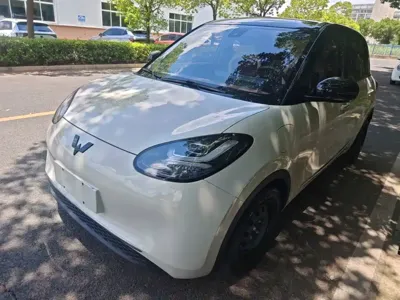 Wuling Bingo
