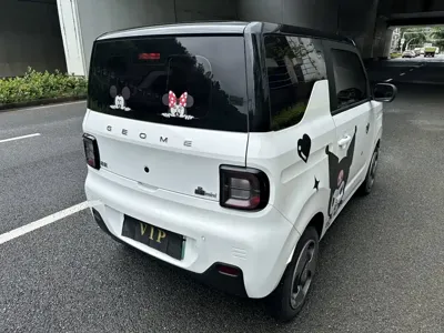 Galaxy Panda