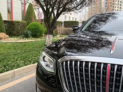 Hongqi Hongqi H7
