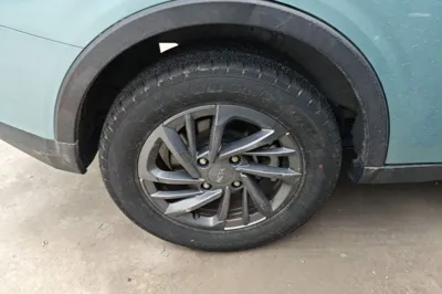 NETA V
