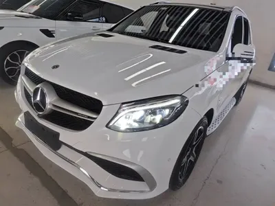 Mercedes-Benz 奔驰GLE(进口)