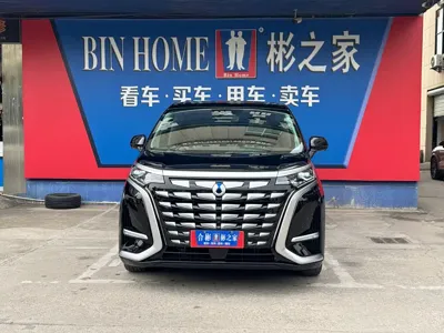 Denza Denza D9