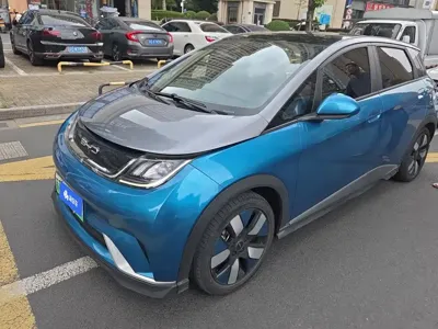 BYD Dolphin