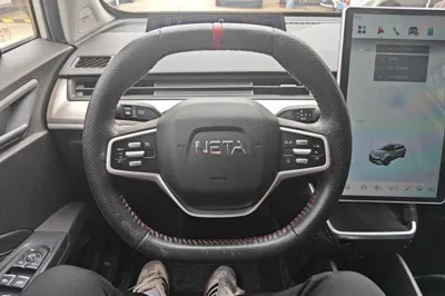 NETA V