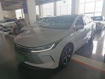 BYD Destroyer 05