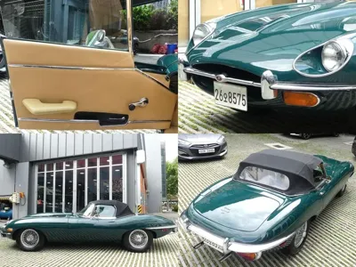 Jaguar Others