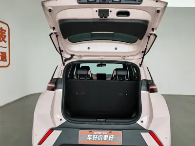 BYD Seagull