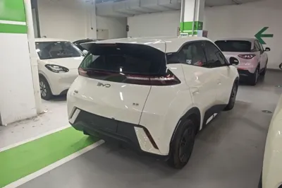 BYD Seagull