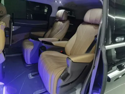 Denza D9