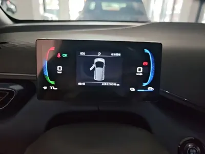BYD Seagull