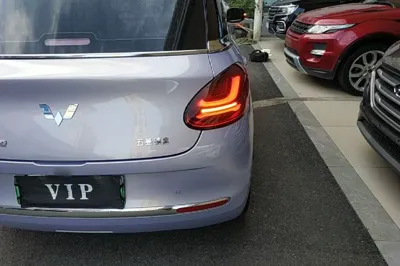 Wuling Bingo