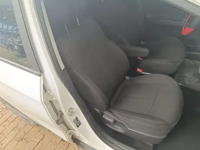 NETA Neta V