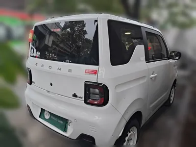 Geely Galaxy Panda