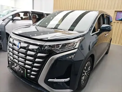 Denza Denza D9