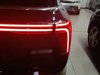 Hongqi Hongqi E-HS9