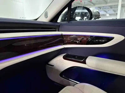 Hongqi 红旗金葵花国雅