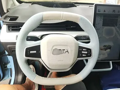 NETA Neta AYA