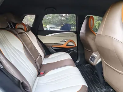 BYD Pro New Energy