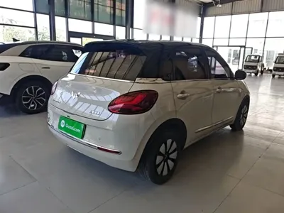 Wuling Bingo