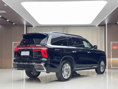 Hongqi 红旗金葵花国耀