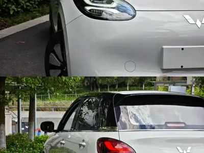Wuling Bingo