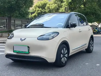 Wuling Bingo