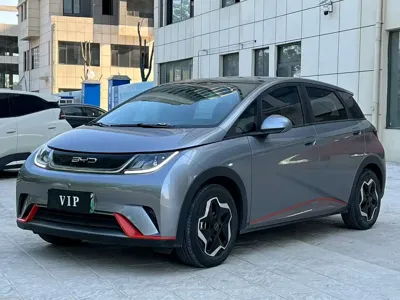 BYD Dolphin