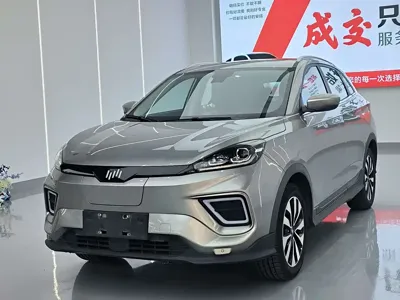 WM Motor EX5
