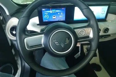 Wuling Bingo