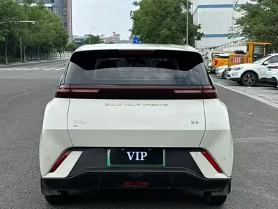 BYD Seagull