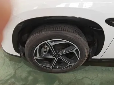 NETA Neta L