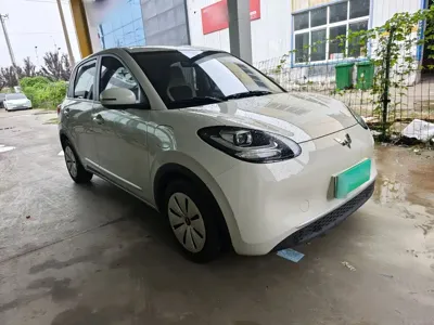 Wuling Bingo