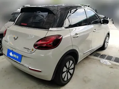 Wuling Bingo