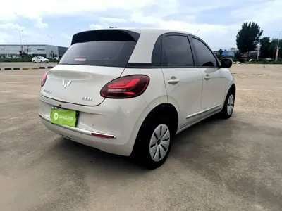 Wuling Bingo