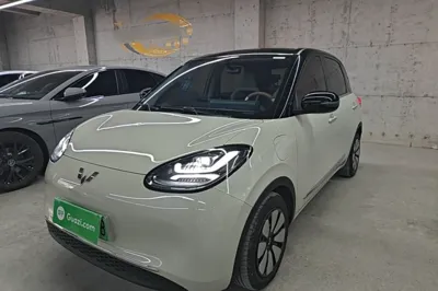 Wuling Bingo