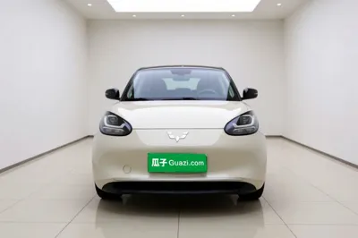Wuling Bingo