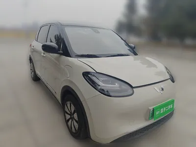 Wuling Bingo