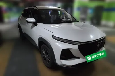 Baojun RS-3