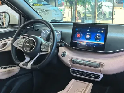 BYD Seagull