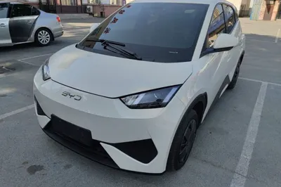 BYD Seagull