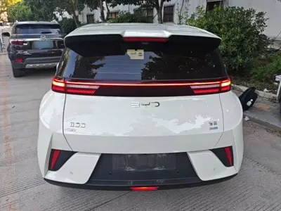 BYD Seagull