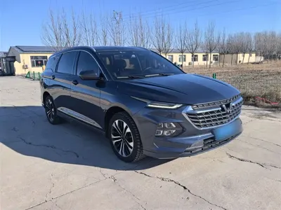 Wuling Victory