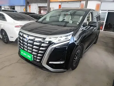 Denza Denza D9