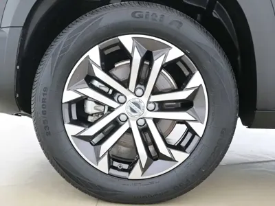 Haval Big Dog