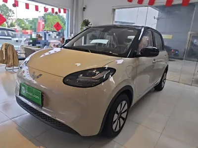 Wuling Bingo